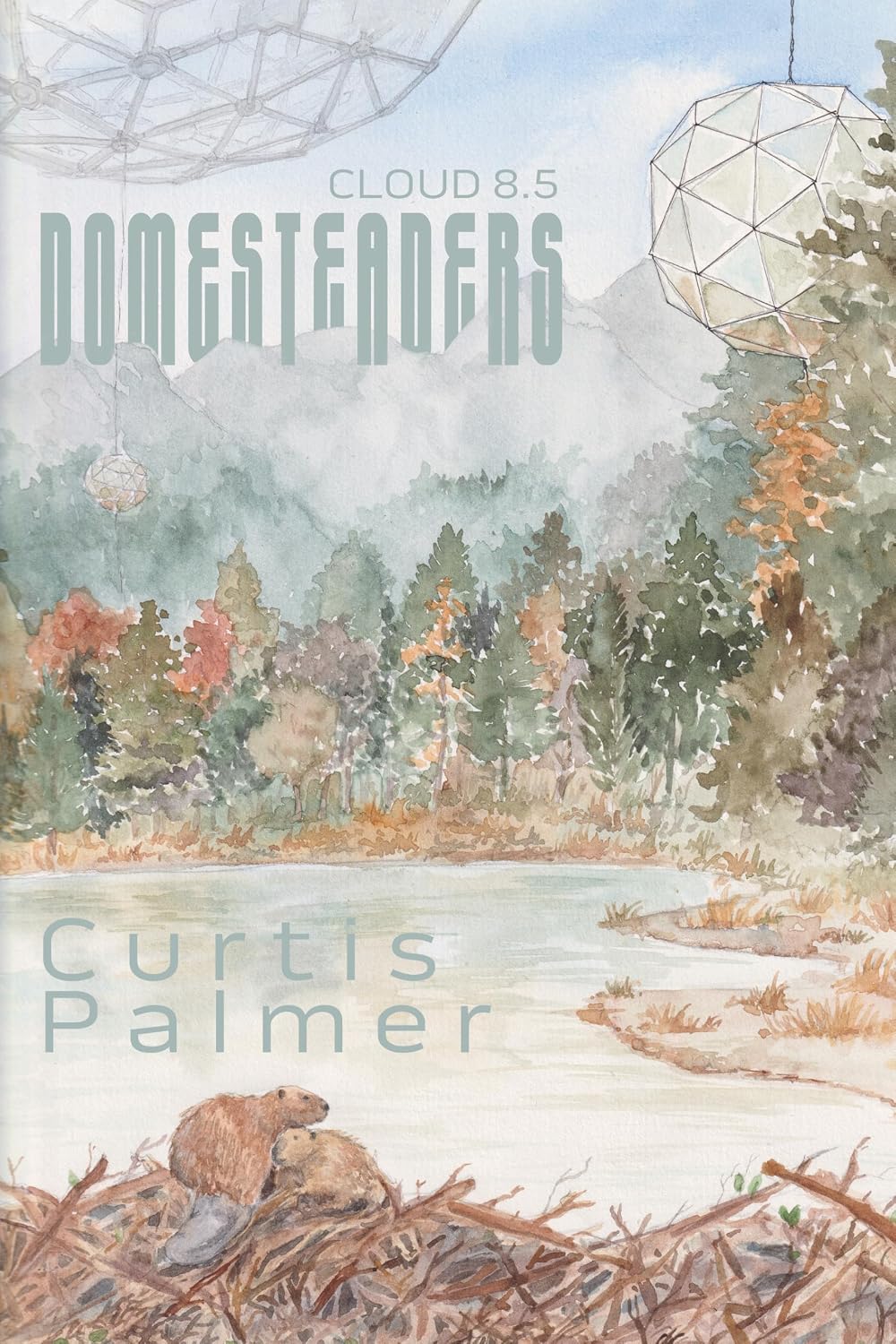Domesteaders: Cloud 8.5